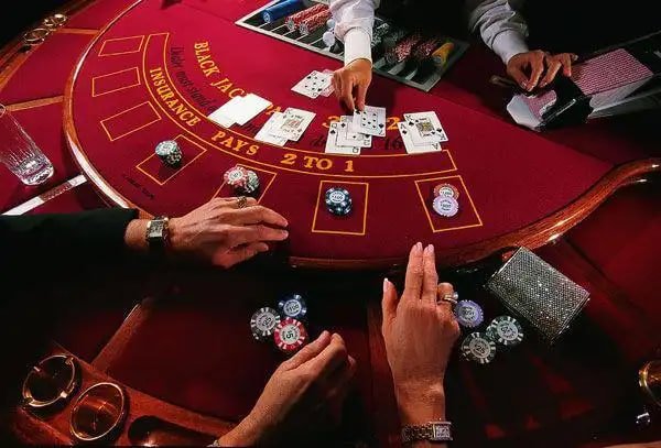 protogel88 login app displaying live blackjack table on a smartphone screen